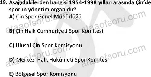 19