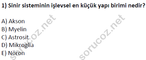 auzef cocukgelisimlisans 51 1