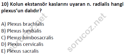 auzef cocukgelisimlisans 51 10