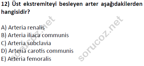 auzef cocukgelisimlisans 51 12