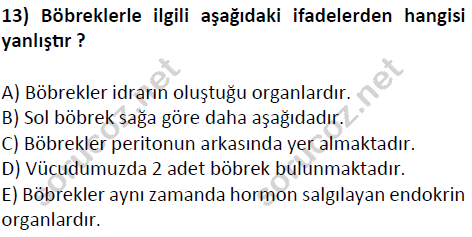 auzef cocukgelisimlisans 51 13