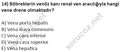 auzef cocukgelisimlisans 51 14