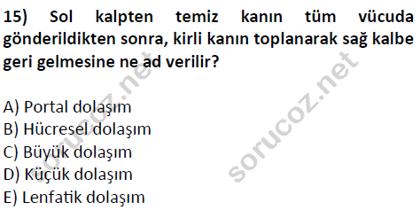 auzef cocukgelisimlisans 51 15