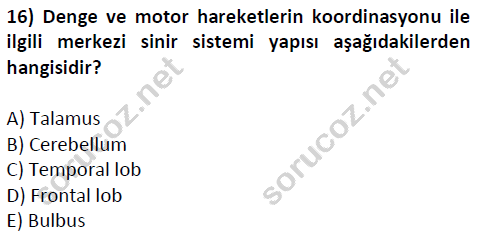 auzef cocukgelisimlisans 51 16