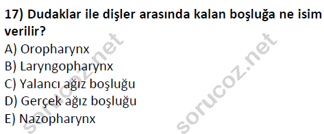 auzef cocukgelisimlisans 51 17