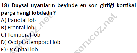 auzef cocukgelisimlisans 51 18