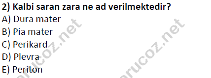 auzef cocukgelisimlisans 51 2