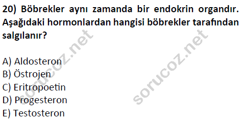 auzef cocukgelisimlisans 51 20