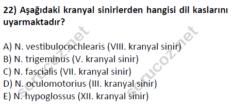 auzef cocukgelisimlisans 51 22