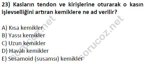 auzef cocukgelisimlisans 51 23