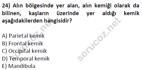 auzef cocukgelisimlisans 51 24