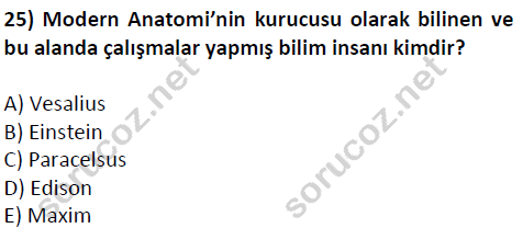 auzef cocukgelisimlisans 51 25