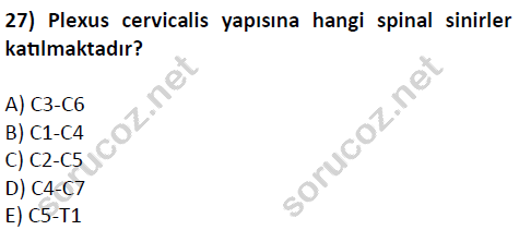 auzef cocukgelisimlisans 51 27