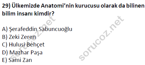 auzef cocukgelisimlisans 51 29