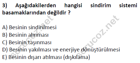 auzef cocukgelisimlisans 51 3