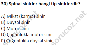 auzef cocukgelisimlisans 51 30