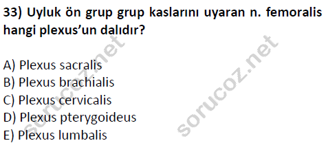 auzef cocukgelisimlisans 51 33