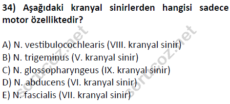 auzef cocukgelisimlisans 51 34