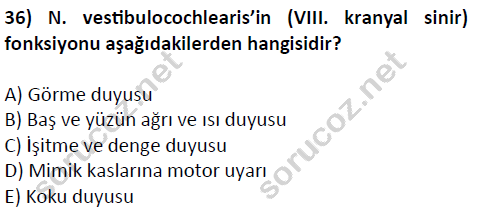 auzef cocukgelisimlisans 51 36