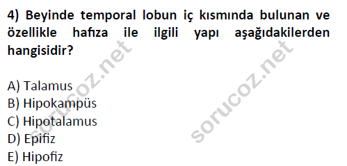 auzef cocukgelisimlisans 51 4