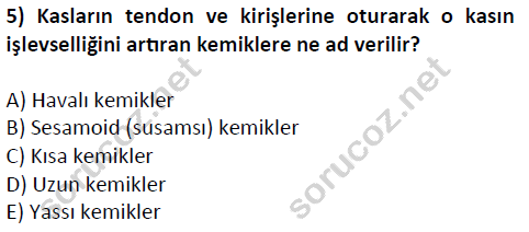 auzef cocukgelisimlisans 51 5