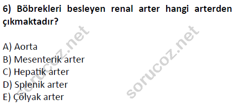 auzef cocukgelisimlisans 51 6