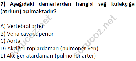 auzef cocukgelisimlisans 51 7