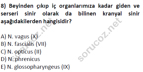 auzef cocukgelisimlisans 51 8