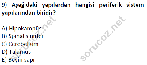 auzef cocukgelisimlisans 51 9