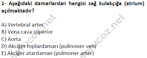 auzef cocukgelisimlisans 51 1