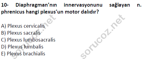 auzef cocukgelisimlisans 51 10