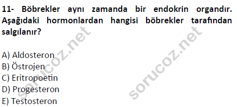 auzef cocukgelisimlisans 51 11