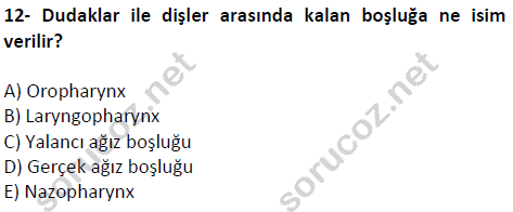 auzef cocukgelisimlisans 51 12