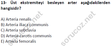 auzef cocukgelisimlisans 51 13