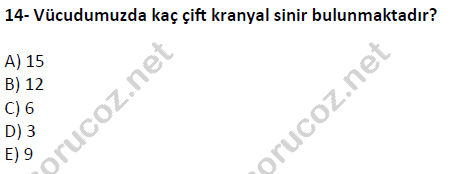 auzef cocukgelisimlisans 51 14