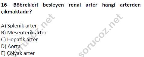 auzef cocukgelisimlisans 51 16