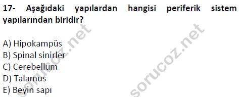 auzef cocukgelisimlisans 51 17