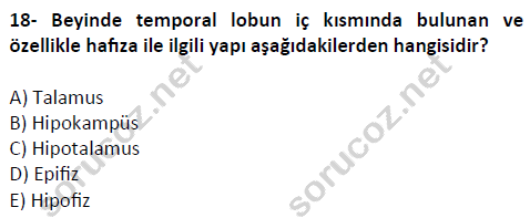 auzef cocukgelisimlisans 51 18