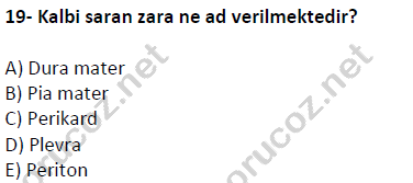 auzef cocukgelisimlisans 51 19