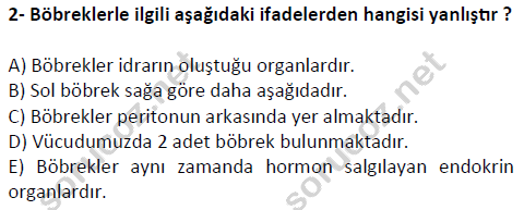 auzef cocukgelisimlisans 51 2