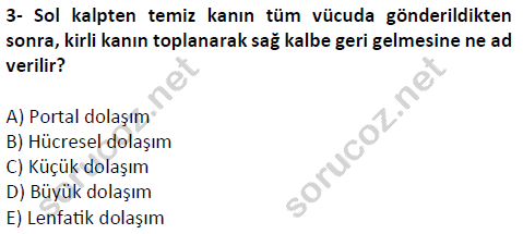 auzef cocukgelisimlisans 51 3