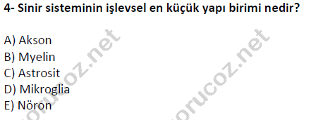 auzef cocukgelisimlisans 51 4