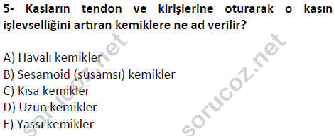 auzef cocukgelisimlisans 51 5