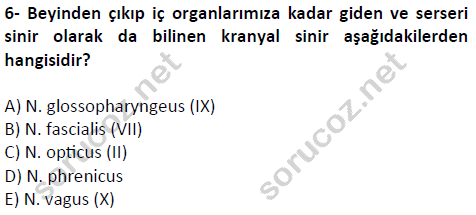 auzef cocukgelisimlisans 51 6