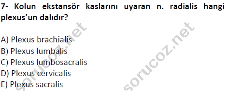 auzef cocukgelisimlisans 51 7