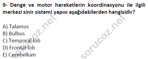 auzef cocukgelisimlisans 51 9