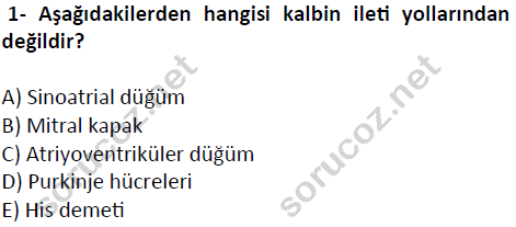 auzef cocukgelisimlisans 51 1