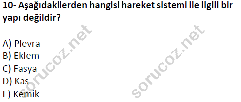 auzef cocukgelisimlisans 51 10