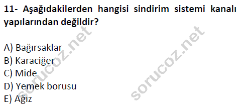 auzef cocukgelisimlisans 51 11