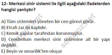 auzef cocukgelisimlisans 51 12